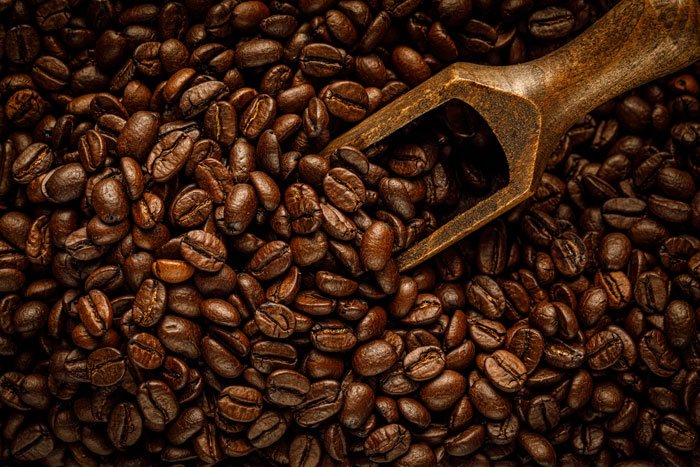 Kopi Robusta
